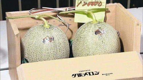 今日蜜瓜报价最新行情,今日最新报价一览