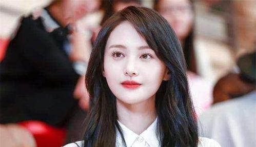 烟花明星网红排名榜,揭秘网红明星排名榜风云变幻