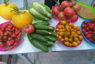 江西今日瓜菜价格,涨跌互现，市民关注