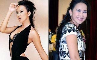 明星网红身材对比图高清,高清对比图揭示身材差异