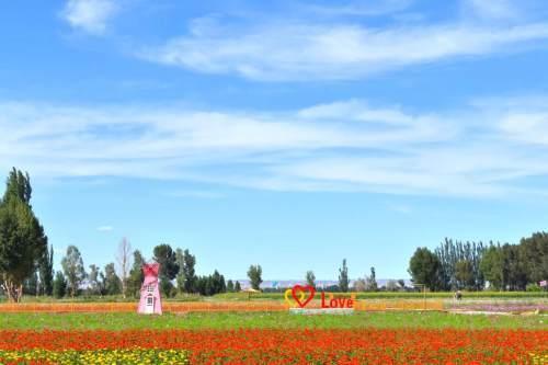 今日瓜州三道沟新闻,聚焦乡村振兴新篇章