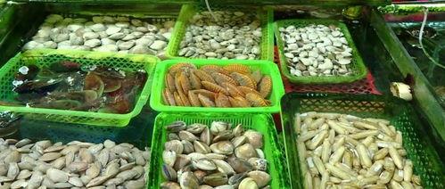 今日南宁蒲瓜价格,品质佳价实惠，市民抢购热潮涌动”