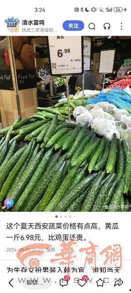 今日梢瓜价格最新行情,价格波动解析与市场趋势展望”