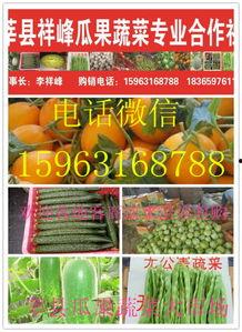 莘县收瓜今日价格,今日行情一览”