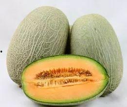 玉林今日头条哈密瓜,哈密瓜飘香，甜蜜夏日新宠来袭