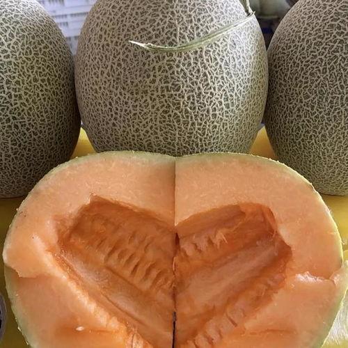 今日价格哈密瓜最新行情,今日价格波动解析，新鲜指数揭晓