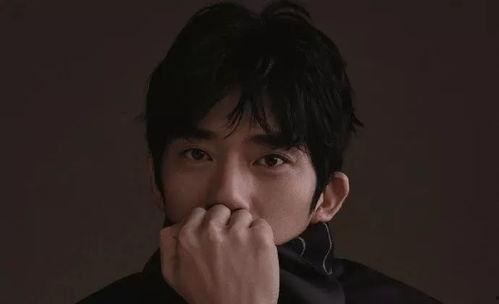 高学历造假的明星网红,揭秘学历背后的真相