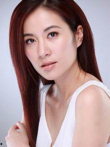 高学历造假的明星网红,揭秘学历背后的真相