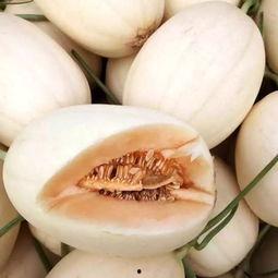 今日东方蜜瓜价格行情最新,甜蜜价格波动解析