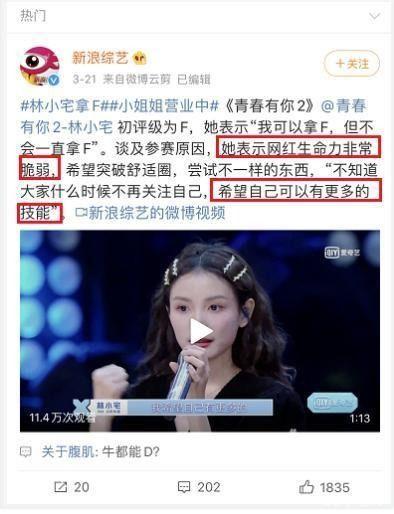 明星网红互关是什么,社交圈的跨界联动