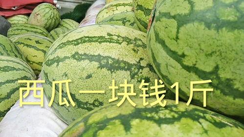 今日瓜价多少钱一斤,一斤多少钱，揭秘时令瓜果市场行情