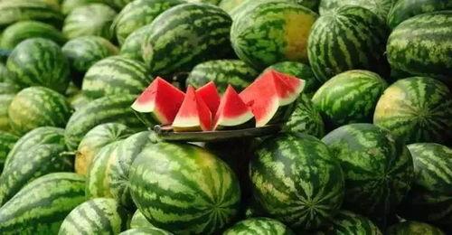 柳州今日吃瓜事件最新消息