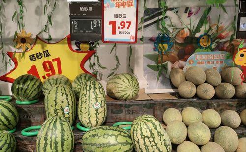2024年毛瓜今日价格,今日行情一览”