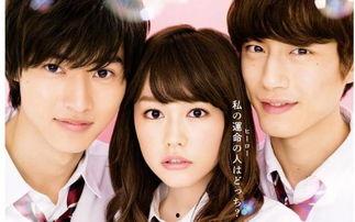 超级大的明星网红贴纸,潮流风向标，全民狂欢新宠