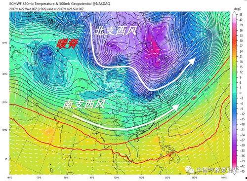 蒲瓜今日行情雷州,雷州市场今日动态解析”