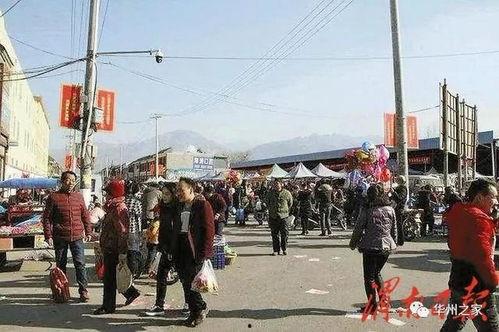 华州瓜坡今日新闻,聚焦今日热点，共话发展新篇