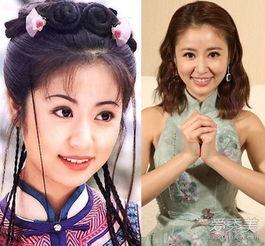 明星网红差距对比分析,光环背后的差距深度解析