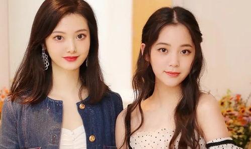 明星网红差距对比分析,光环背后的差距深度解析