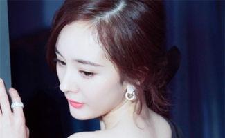 当红明星网红有哪些名字