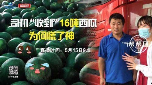 今日吃瓜播报最新,娱乐圈最新热点事件大盘点