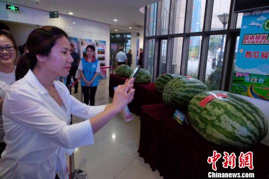 莱州今日吃瓜爆料新闻,揭秘当地热点事件背后的真相