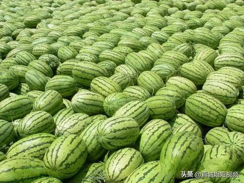 吃瓜网今日吃瓜热门大瓜谭竹,吃瓜网今日热门大瓜，揭秘娱乐圈风云人物背后的故事