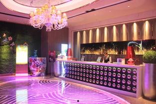 明星网红打卡游乐园,揭秘明星游乐园的潮流之旅