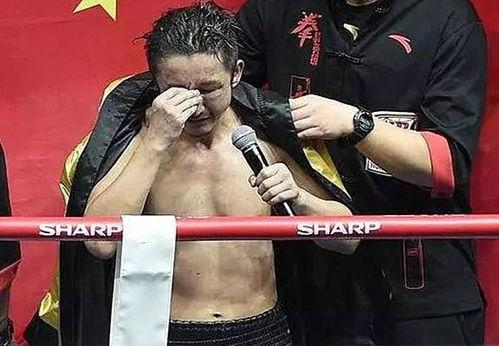 国内哪些明星网红看ufc,揭秘国内明星网红的格斗情缘