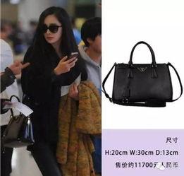 明星网红奢侈品品牌,明星网红与奢侈品品牌的跨界传奇