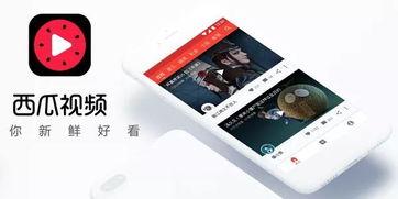 今日头条官瓜最新消息,揭秘娱乐圈惊天大事件！