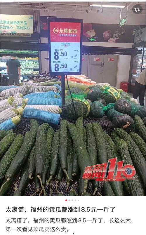 永城今日瓜价最新消息,瓜价走势及市场分析