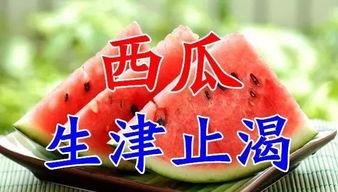 五一吃瓜每日必吃今日分享,每日必吃，今日分享精选