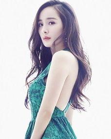 明星网红代言指南是什么,揭秘高效合作与风险规避策略