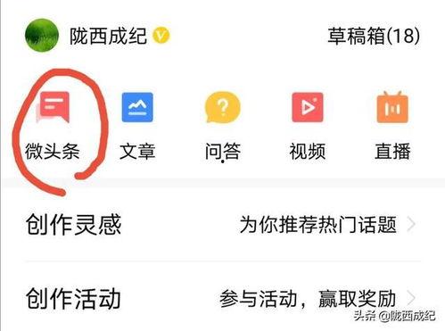 今日头条小呆瓜,今日头条的萌宠日常，带你领略趣味生活