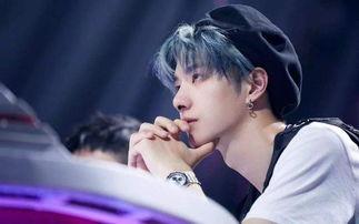 明星网红抱团是谁呀视频,背后的秘密与影响