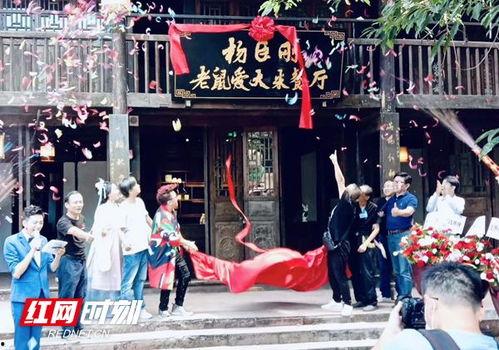 遂宁明星网红有哪些,揭秘遂宁明星网红圈