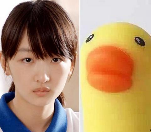 明星网红鸭子是谁呀图片,揭秘网络红鸭子的魅力之谜