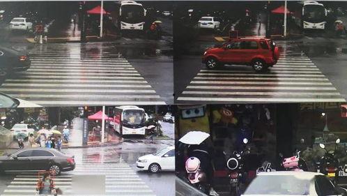 各大明星网红开车,驾驭梦想，驰骋人生