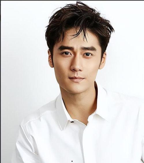 家暴男明星网红有哪些,揭开家暴男明星的神秘面纱