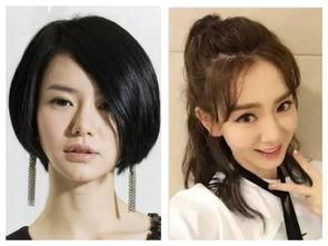 明星网红直播卖的东西,明星效应下的热门商品盘点