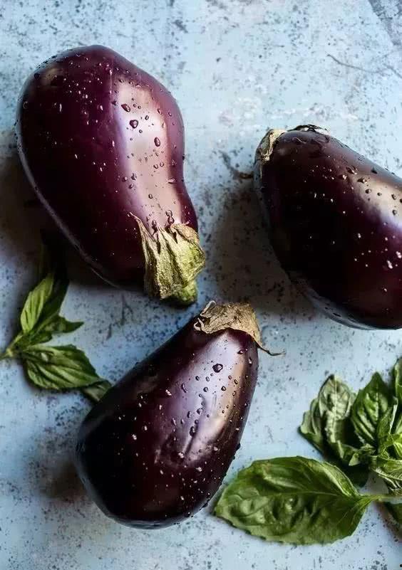 茂名茄瓜今日地里收购价