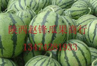 哈密瓜批发价格今日价,行情波动，市场动态一览”