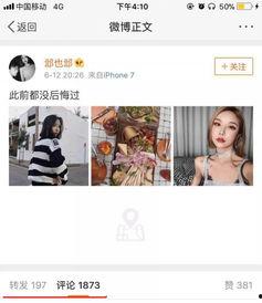 网红套路明星网名大全集,揭秘网络红人的独特命名艺术