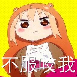 今日份小呆瓜图片大全高清,今日份小呆瓜图片大全高清赏析