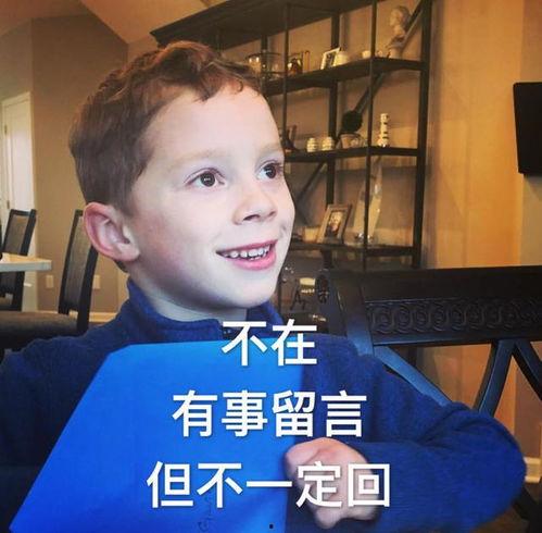 今日份小呆瓜图片大全高清,今日份小呆瓜图片大全高清赏析