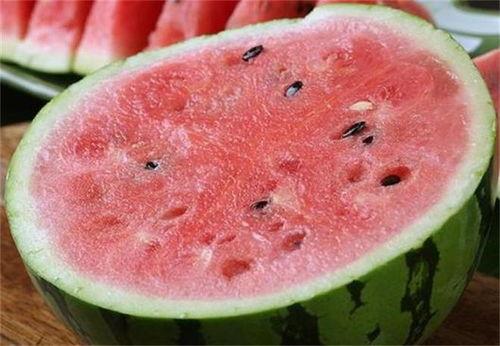 勐海麒麟瓜今日价格,价格行情一览