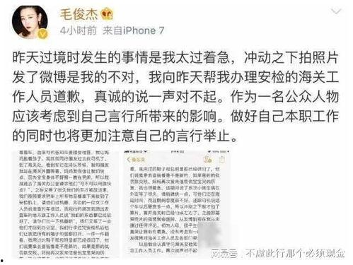 榜样明星网红论文怎么写,从榜样明星网红论文看网络影响力与价值观塑造