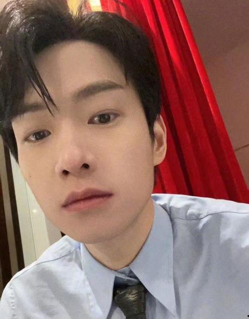 明星网红的选择有哪些,揭秘他们的选择与潮流趋势