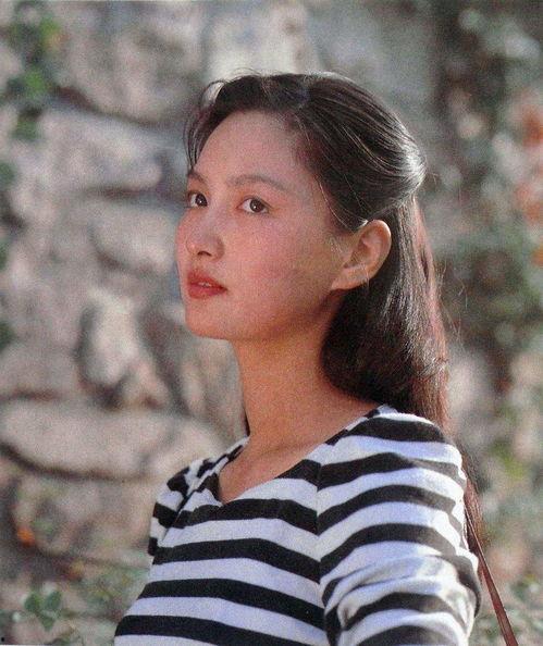 明星网红相似度合集男,揭秘明星网红相似度合集中的帅气男生