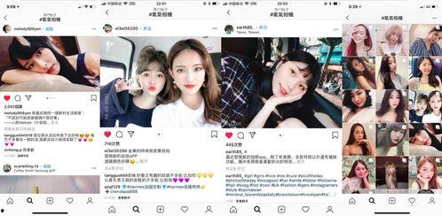 超多明星网红有哪些,揭秘当红明星与网红的璀璨风采